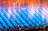 Ravenscliffe gas fired boilers